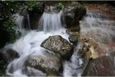 逃离壳牌岛